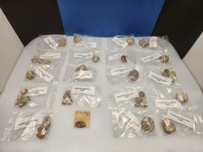Fossilized Sand Dollar Lot