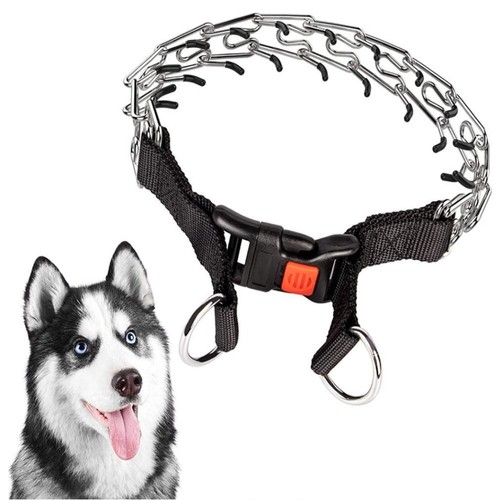 Dog choke collar training - dog,