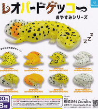 Leopard Gecko Good night