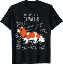 Blenheim Cavalier King Charles