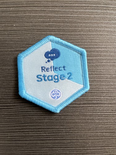 Girlguiding reflect stage - reflect, 2
