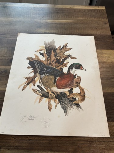 Signed lithograph james - by,
