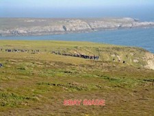 PHOTO  ANGLESEY LOOKING SOUTH