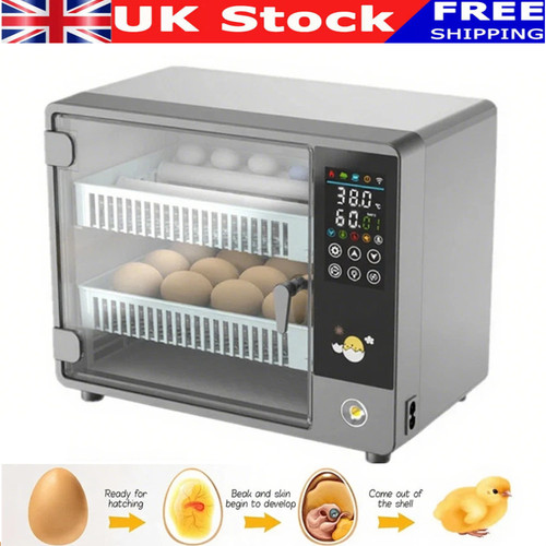New automatic digital - digital, eggs