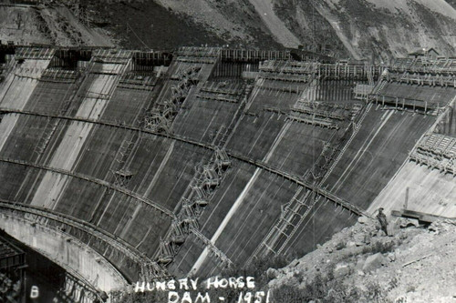 Rppc photo hungry horse - horse, dam