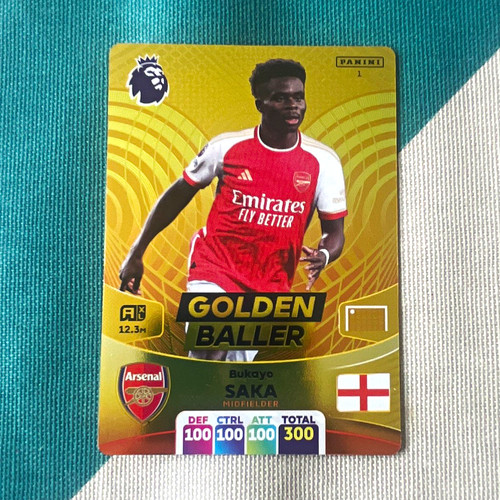 Panini adrenalyn premier - panini,
