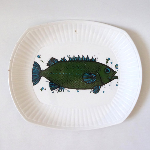 Aquarius fish series