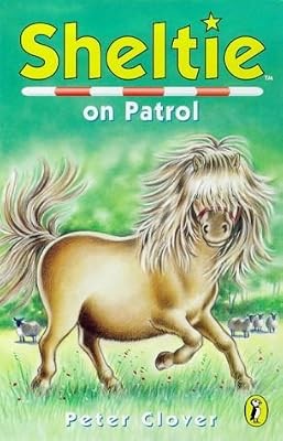 Sheltie on patrol - sheltie,