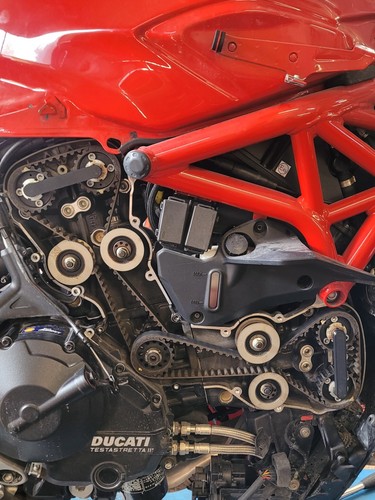 Ducati 88765 1623 - 88765.1623, timing