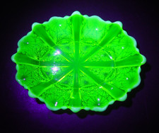 Antique Davidson Primrose