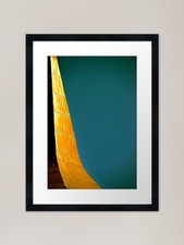 Copper Top Framed Art Print