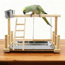 Set parrot playstand bird - 1,