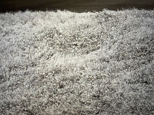 Fluffy silver grey shaggy rug - shaggy,