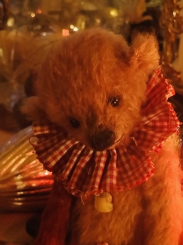 Artist teddy certificate - artist, 💝