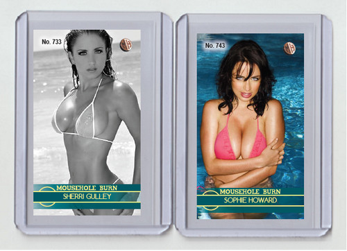 Sophie howard rare - howard, mh