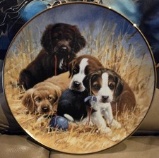 Franklin Mint 11 Limited