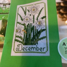 Mini Birth Flower December