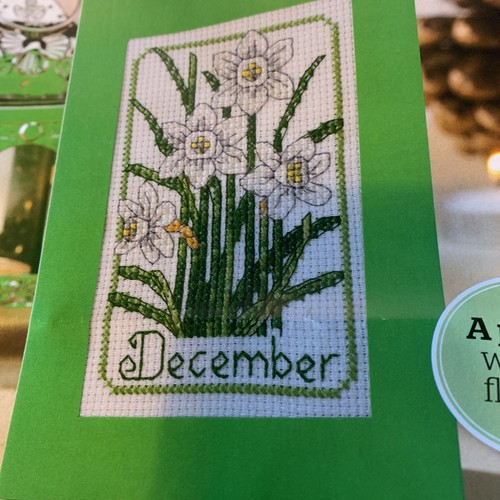 Mini birth flower december - mini,