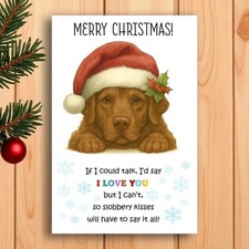 Chesapeake Bay Retriever