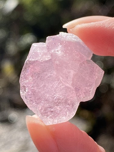 Bubblegum pink paprok - pink,