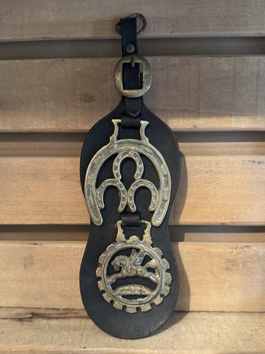 Vintage horse brasses - vintage, on