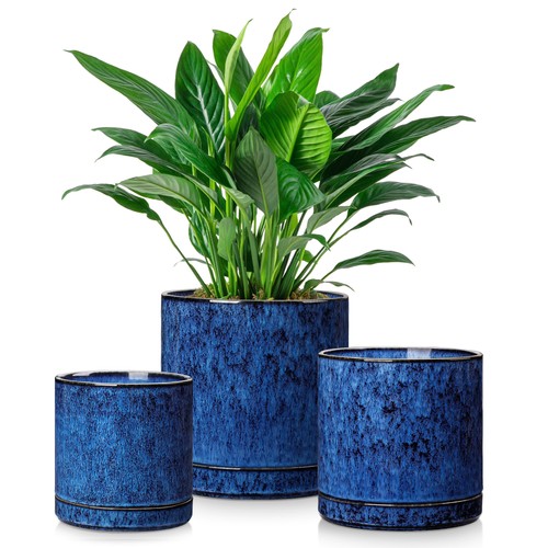Indoor ceramic plant pots - indoor,