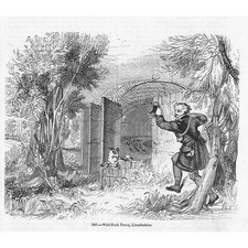 LINCOLNSHIRE A Wild Duck Decoy #1 - Antique Print 1856