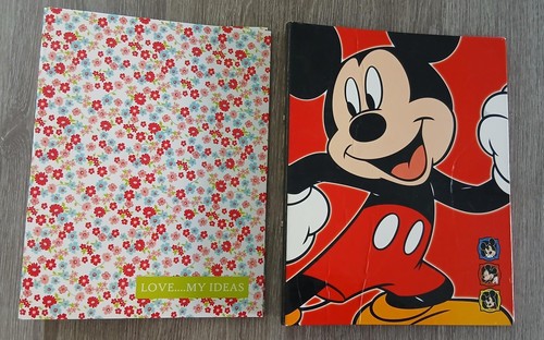Bundle folders disney - x2, a4