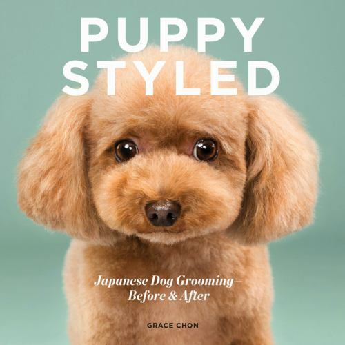 Puppy styled japanese dog - puppy,