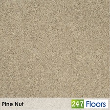 Pine Nut Woodland Heather 55oz