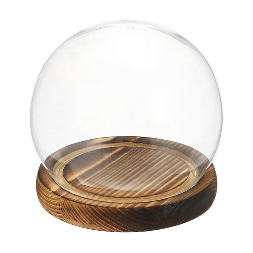 Round cloche glass dome - cloche,