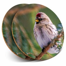 2 x Coasters - Redpoll Redcap