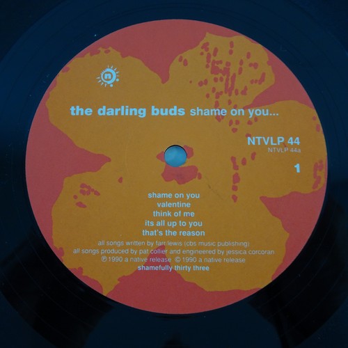 Darling buds shame you - on,