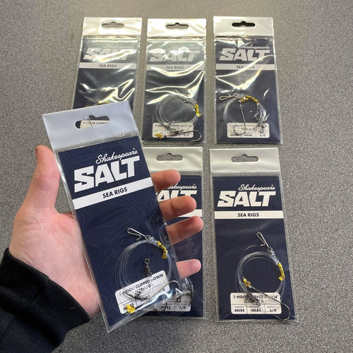 Shakespeare salt sea fishing - salt,
