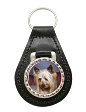 Australian Silky Terrier