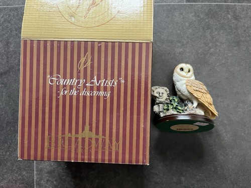 Country artists barn owl with - barn,