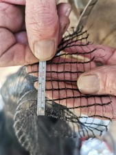 Anti butterfly netting - butterfly,