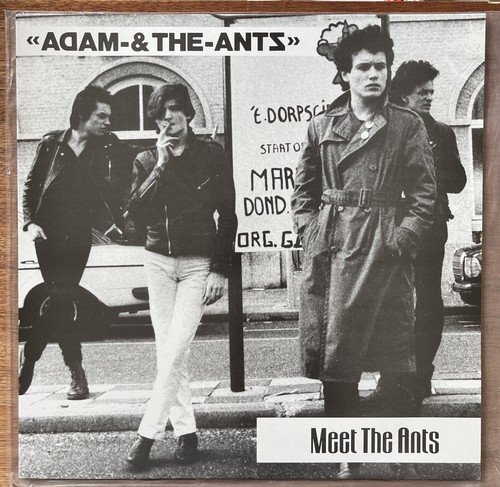 Adam the ants meet - ‘meet,