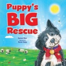 Puppy's Big Rescue (Picture