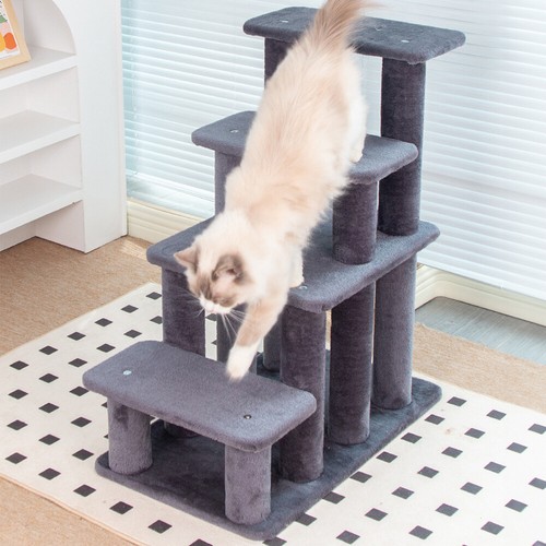 Tall steps cat - tall, scratching