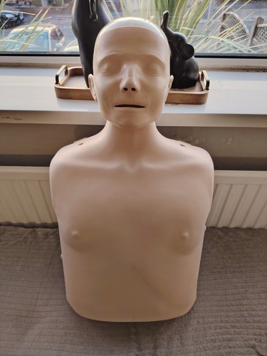 Laerdal little anne cpr - little,