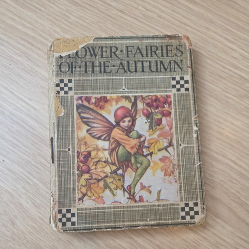 Flower fairies the autumn - fairies,