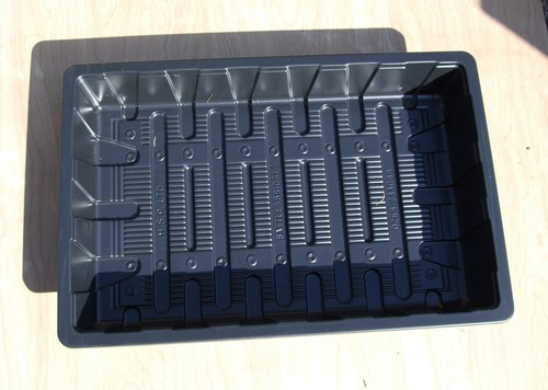 Seed trays gravel full - seed,