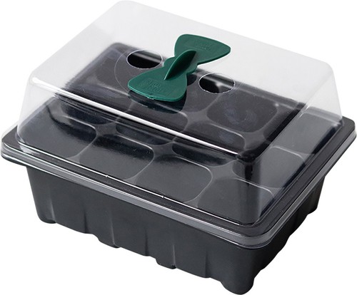 Plant seed propagator - plant, tray