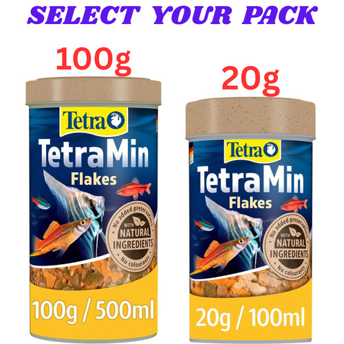 Tetra tetramin tropical fish - tropical,