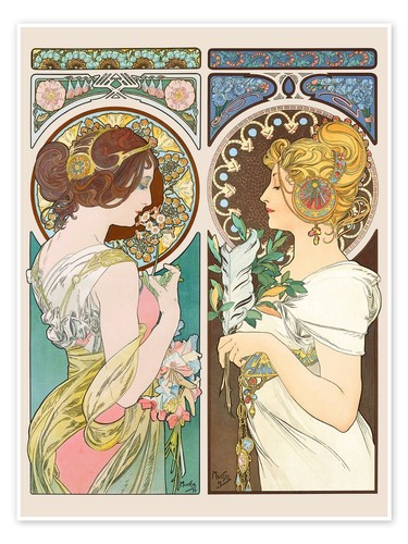 Primrose feather alfons - &,