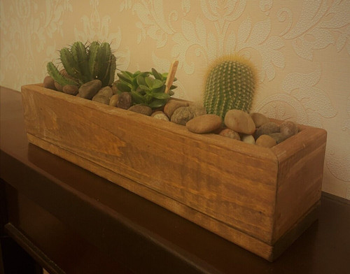 Wooden succulent planter - succulent,