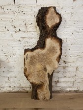 Waney Edge Live Edge Oak Burr  Burl Boards Planks Slabs River Table