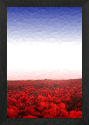 French flag red poppy field - flag,