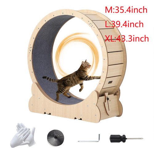 Cat exercise wheel cats - wheel,